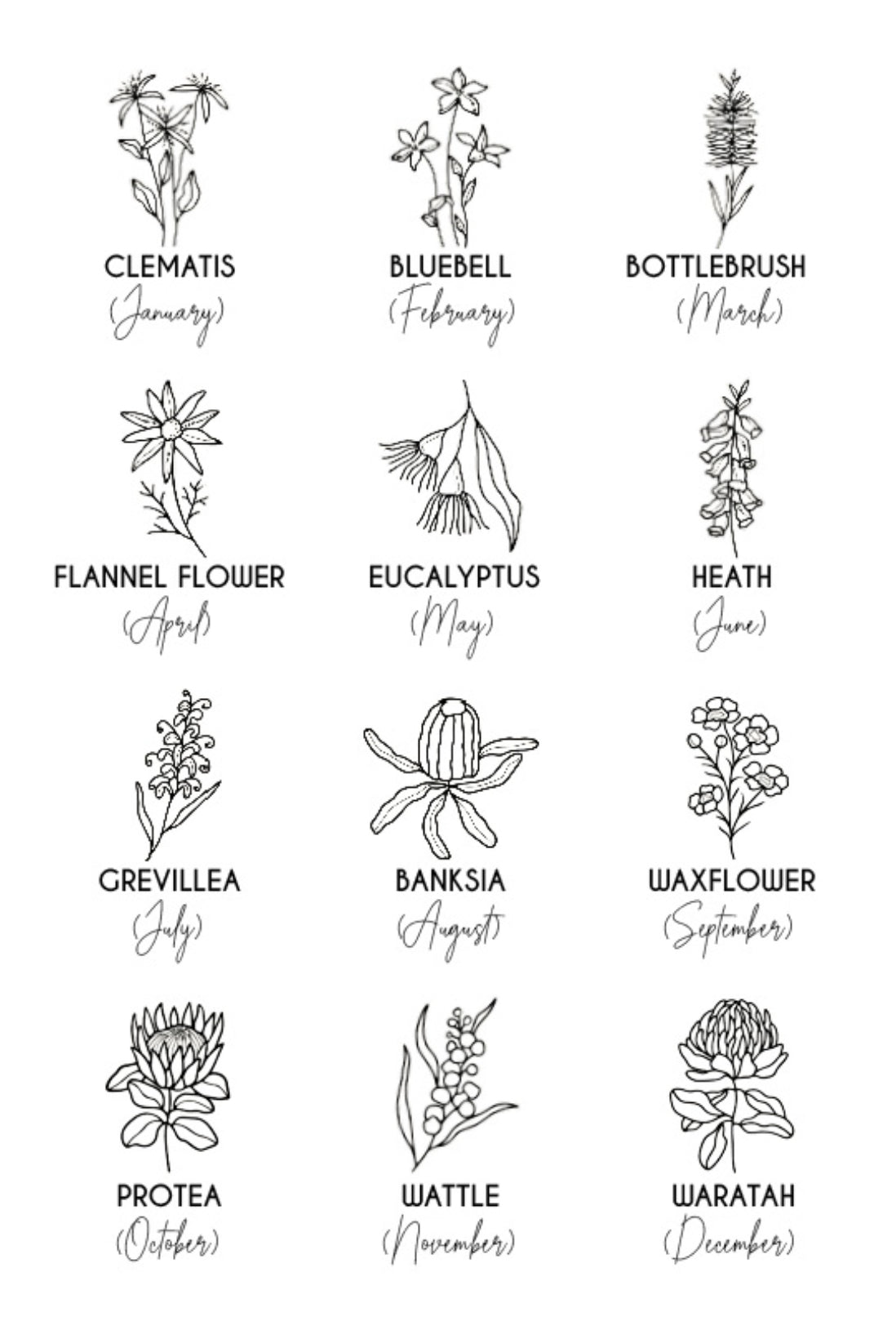 Australian Native Flora Birth Month Necklace